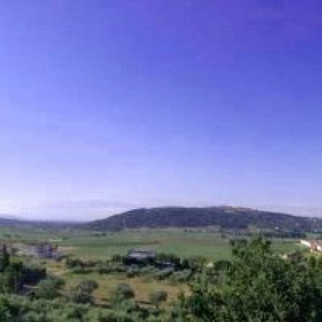 B&B Villa Emanuel - Foto 4