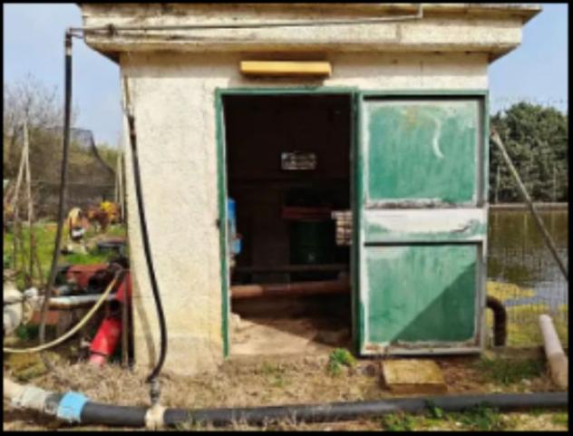 Immobile in asta di 900 m² con più di 5 locali in vendita a Gioia del Colle - Foto 17