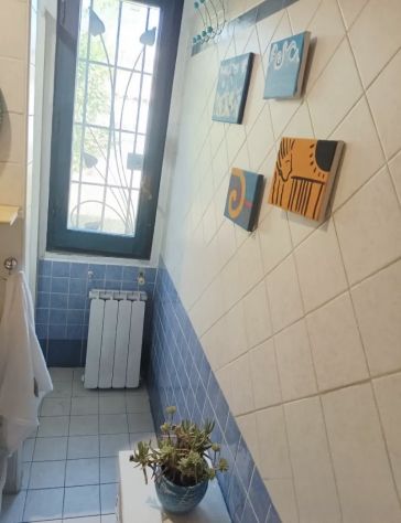 CASAL PALOCCO MONOLOCALE LOFT ARREDATO CON GIARDINO PRIVATO - Foto 5