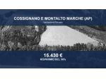 Immobile in asta di 29510 m² in vendita a Cossignano