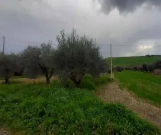 Immobile in asta di 2969 m² in vendita a Grassano - Foto 2