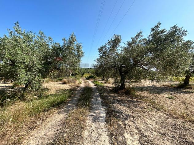Terreno in vendita a Noto - Foto 7