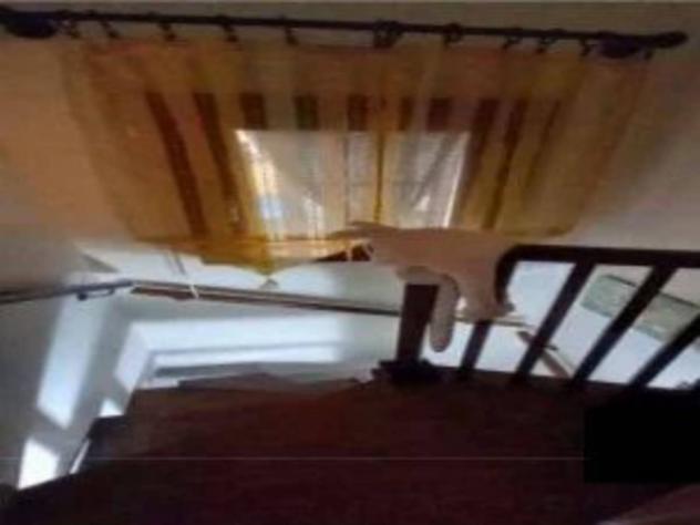 Immobile in asta di 180 m² con più di 5 locali e box auto in vendita a Taglio di Po - Foto 13