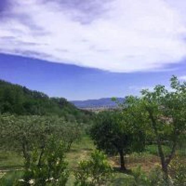 Podere La Contessa B&B di Bartolini Simona