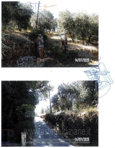 IMMOBILI-ALTRA CATEGORIA-Via di Capalle, 51035 Lamporecchio PT, Italia - Foto 5