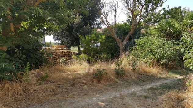 Rustico in vendita a Piombino 70 mq Rif: 1428596 - Foto 2