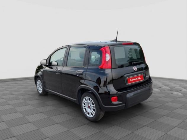 FIAT Panda Panda 1.0 FireFly S&S Hybrid rif. 24078706 - Foto 3