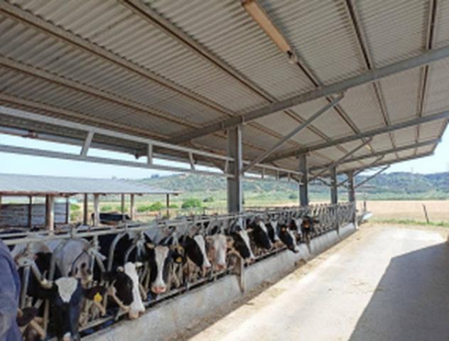 Immobile in asta di 96 m² in vendita a Pisticci - Foto 2
