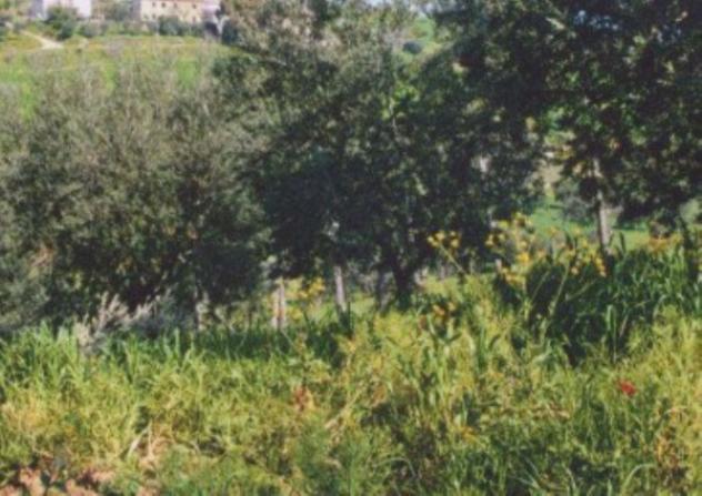 Immobile in asta di 2000 m² in vendita a Roggiano Gravina - Foto 4