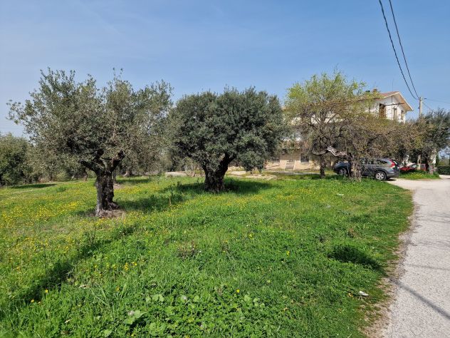 TERRENO EDIFICABILE AGRICOLO ROSCIANO - Foto 4
