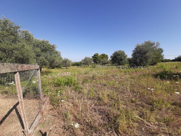 OLIVETO PAINEGGIANTE E VISTA MARE - Foto 4