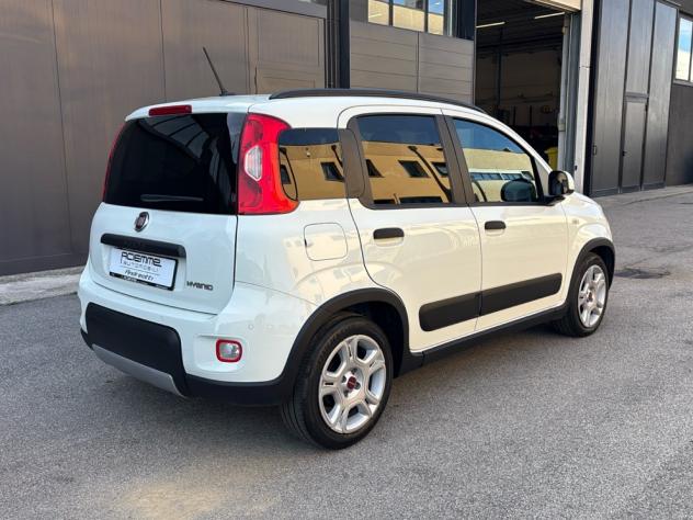 FIAT Panda Panda 1.0 firefly hybrid City Life s&s 70cv - Foto 7