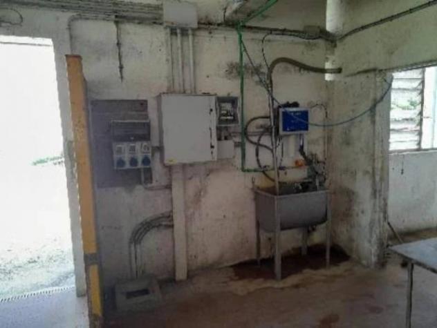 Immobile in asta di 1500 m² in vendita a Malagnino - Foto 5