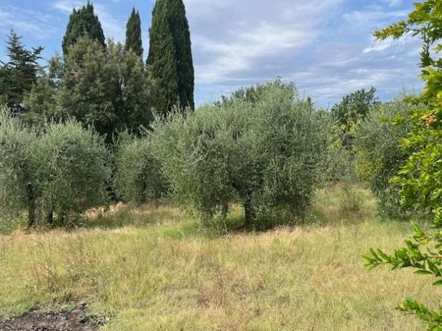 Porzione di casa in vendita a Terricciola 120 mq Rif: 1453032 - Foto 7