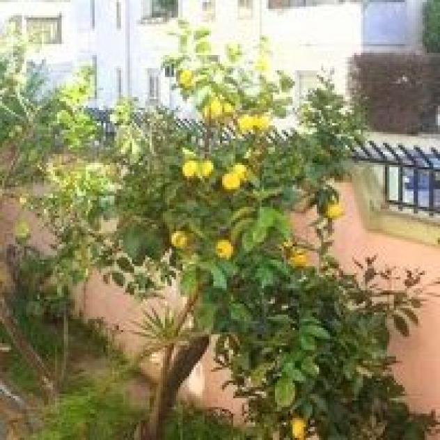 B&B IL SOLE - Foto 2