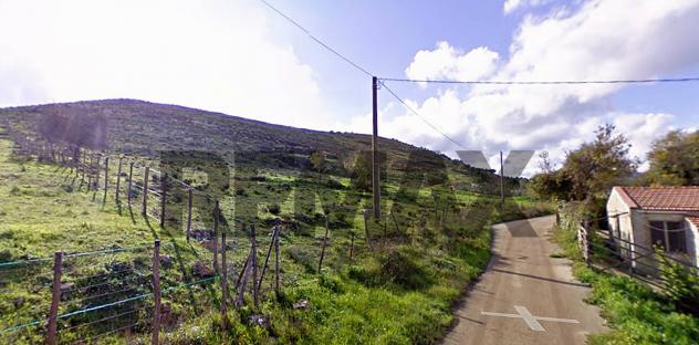 Terreno in vendita a Carlentini - Foto 6