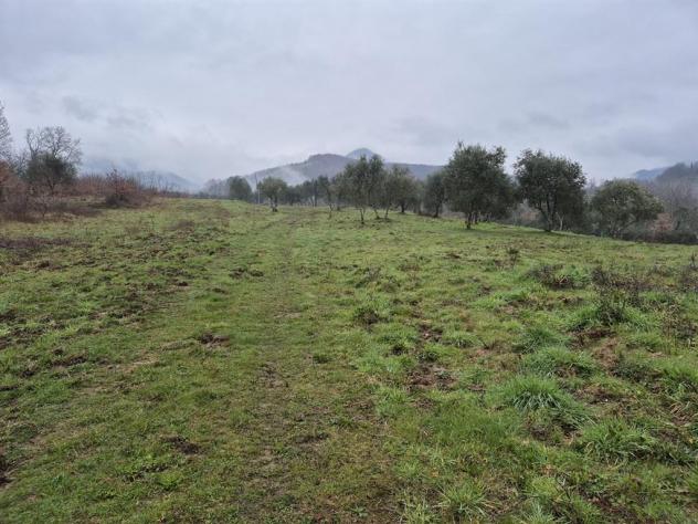 RUSTICO CASALE INDIPENDENTE CO 7 ETTARI DI TERRENO ADIACENTI FRA VICCHIO E BORGO SAN LORENZO (FIRENZE - Foto 18