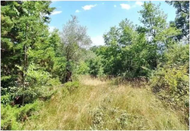Immobile in asta di 2190 m² in vendita a Apiro - Foto 2