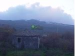Palmento Parco Dell'Etna Linguaglossa