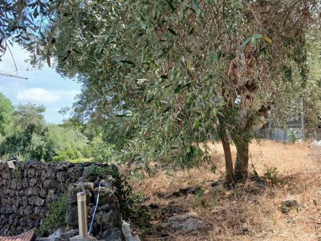 Agricolo in vendita a Misterbianco - Foto 9