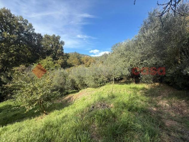 Terreno Residenziale - San Polo dei Cavalieri . Rif.: Cod. rif 3266647VRG - Foto 9