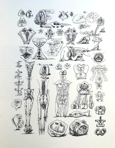 MASSON Anatomie de mon universe, 1988 - Foto 7