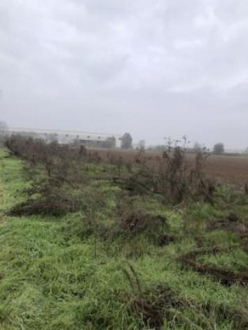 R.G.E. 258/2024 Pavia - Foto 3