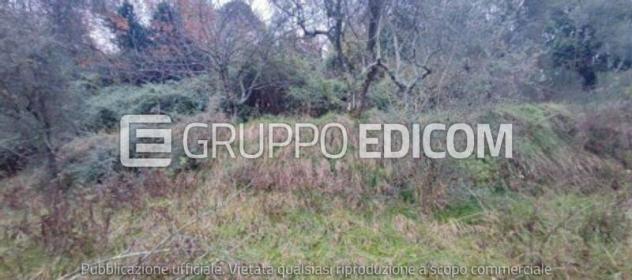 Terreno in vendita a Podenzana - Rif. 3559670 - Foto 4
