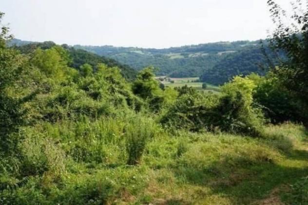 Immobile in asta di 40247 m² in vendita a Sovizzo - Foto 18