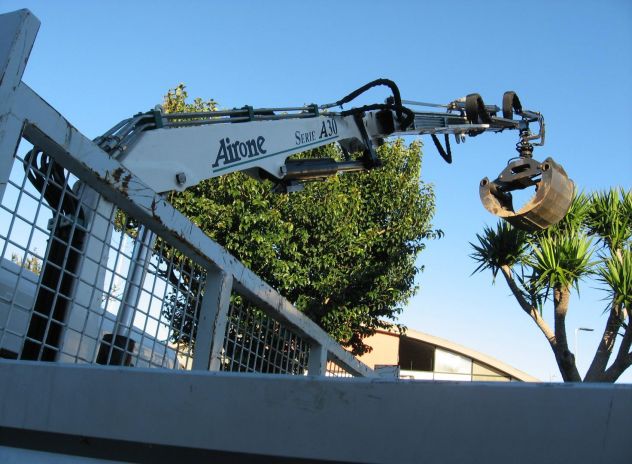Gru Airone A30 s2 + radio + attivazioni adatta per giardinieri e rottamai