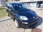 FIAT Pandina 1.0 65 cv Hybrid Icon rif. 21907729