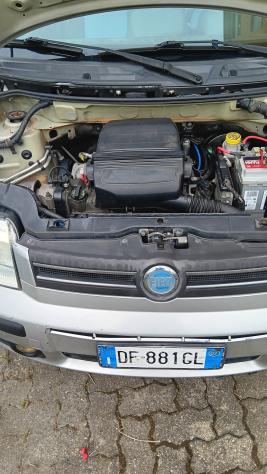 Fiat Panda 1.2 Alessi - Foto 2