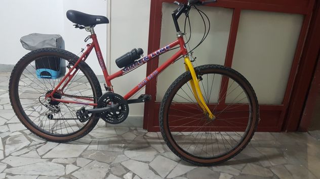 Bicicletta