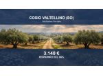 Immobile in asta di 3119 m² in vendita a Cosio Valtellino