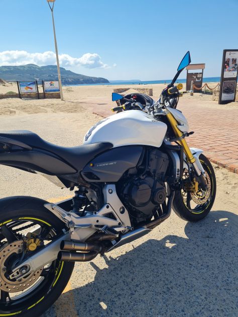 Honda hornet