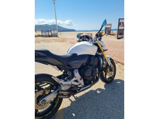 Honda hornet