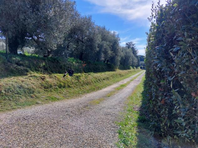 TERRENO AGRICOLO di 10000 mq (CAMAIORE - pieve di camaiore) rif. 1001 - Foto 18