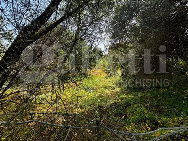 Terreno Residenziale - Nuxis . Rif.: Cod. rif 3144415VRG - Foto 4