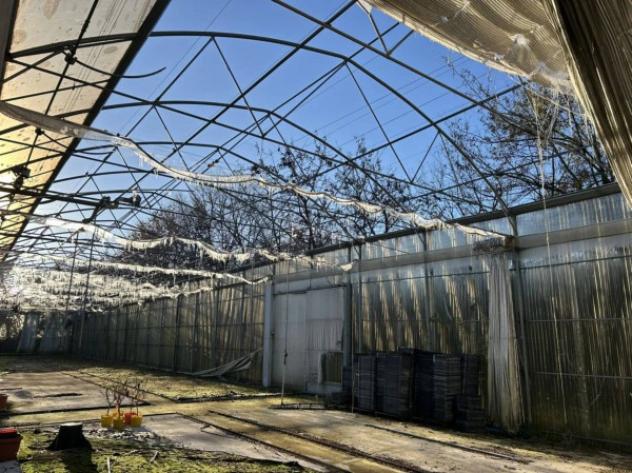 Immobile in asta di 4743 m² in vendita a Brescia - Foto 6