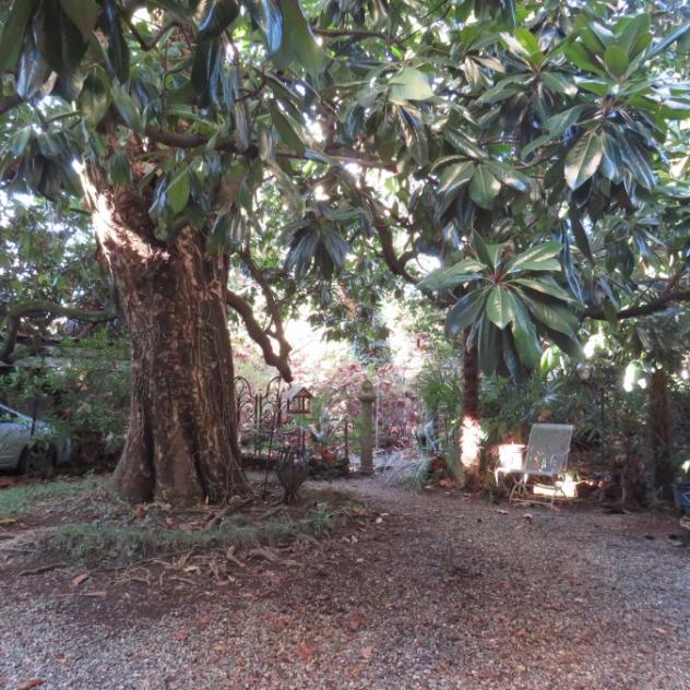 Verbania - ZONA PALLANZA VENDESI VILLA CON GIARDINO PRIVATO - Foto 4