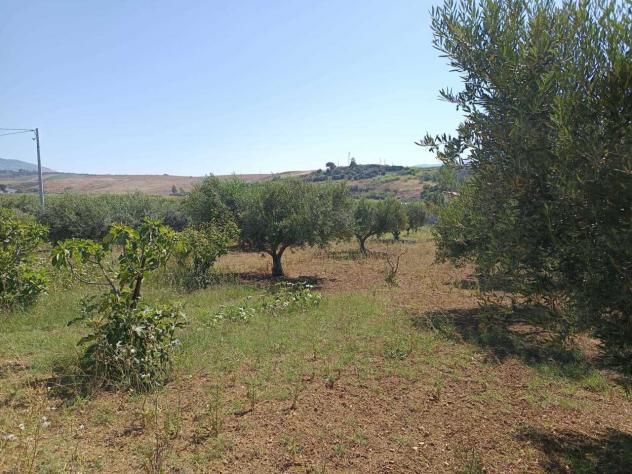 Seminativo in vendita a Balestrate - Foto 5