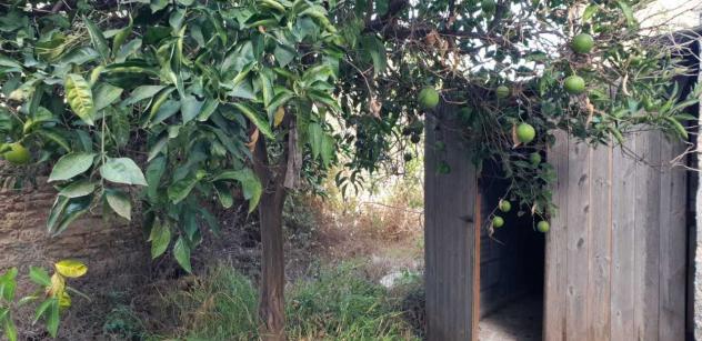 Terreno edificabile in vendita a Siracusa - Foto 5