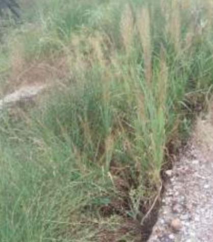 Immobile in asta di 21130 m² in vendita a Torano Castello - Foto 12
