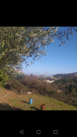 Terreni in vendita