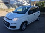 FIAT Panda 1.2 Easy rif. 23676488