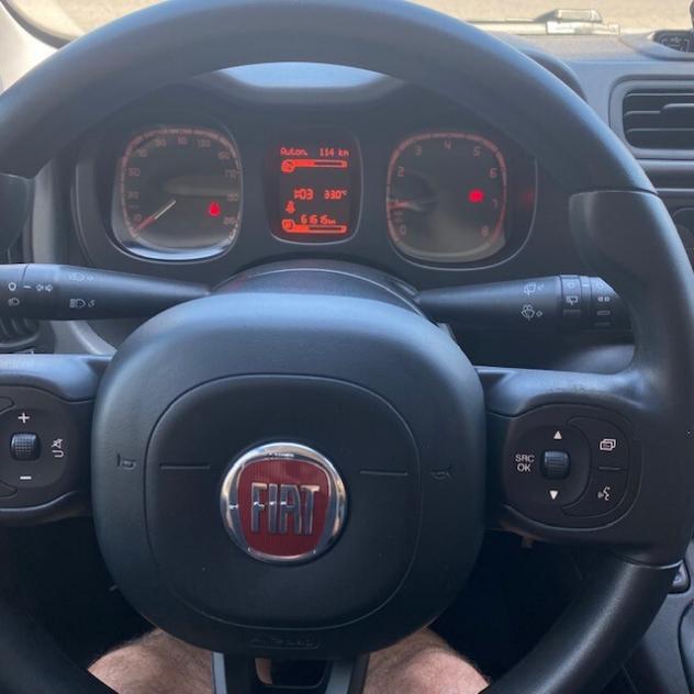 Fiat Panda 1.0 FireFly S&S Hybrid City Cross - Foto 6