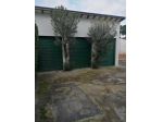 FONDO COMMERCIALE di 200 mq (FIRENZE) rif. AAJ166