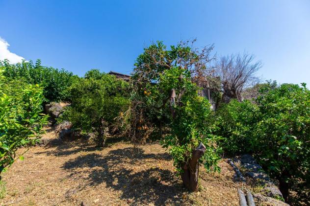 Terreno in vendita a Aci Catena, Aci San Filippo - Foto 17