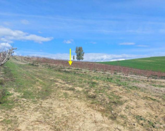 Immobile in asta di 43400 m² in vendita a Altomonte - Foto 5