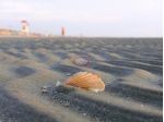 TAGLIATA di Cervia - terreno edificabile con Hotel su lotto di 1800 mq. circa